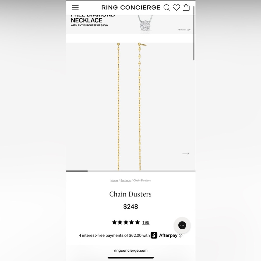 Ring Concierge Chain Dusters - Perfect Condition